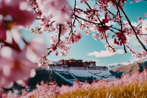 瀘西城子古村～小布達拉宮～赴一場洋芋盛宴
