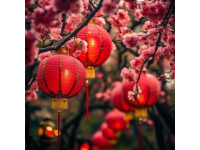 今天出去轉(zhuǎn)了一圈，發(fā)現(xiàn)佛山的過年氣氛搞起來了，花市開了，美食節(jié)同行