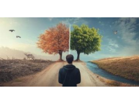 堅(jiān)定抉擇：如何影響你一生的道路走向