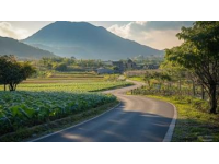探索洛陽澗西區淺井頭九都路——初綻的新晉超市潛力無限