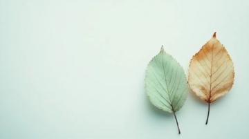 極簡(jiǎn)生活斷舍離100天(極簡(jiǎn)生活斷舍離——奮斗第51天奮斗)