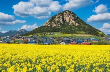 探索韓國濟州島：自然風味下的酸甜辣美食之旅
