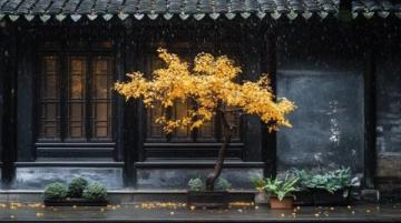 山西晉城皇城相府位于山西省晉城市陽(yáng)城縣北留鎮(zhèn)皇城村，最佳游季5—10月