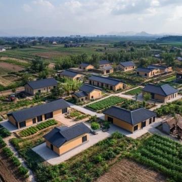 拼多多助力廣東清遠農業產業升級與品牌打造