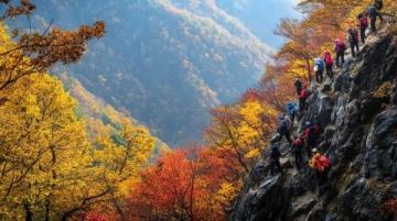 九皇山景區游玩指南：賞紅葉、美食、擼羊駝！