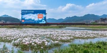 湖北鐘祥名鎮(zhèn)胡集：人口超10萬(wàn)，磷礦資源豐富，享有“中部磷都”美譽(yù)