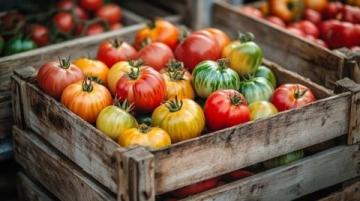 西紅柿遇黑蒜：一場(chǎng)出人意料的味覺(jué)實(shí)驗(yàn)與生活哲學(xué)探討