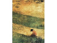 探索五谷糧食畫(huà)：非遺藝術(shù)中的自然之美與智慧之光
