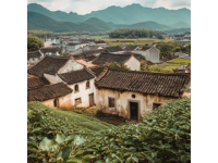 跟著節氣游中國古鎮