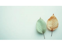 極簡(jiǎn)生活斷舍離100天(極簡(jiǎn)生活斷舍離——奮斗第51天奮斗)
