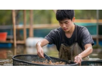 海洋的饋贈(zèng)：榮成海鮮的誘人之處