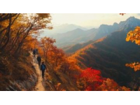 秋意濃情|阿爾山四日游：火山地貌、草原風光全收錄