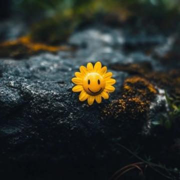 探索個性化幸福：心態與知識的力量影響人生幸福
