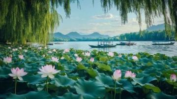 溱湖水生動植物之美