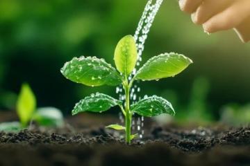科學施肥技巧，讓作物健康成長指南