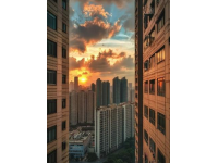 （實(shí)拍照片視頻）離成都最近的彩林觀賞點(diǎn)，錯(cuò)過再等一年