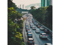 乾隆白菜引發(fā)主持人大戰(zhàn)，天津交通廣播節(jié)目意外中斷