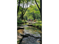 天臺山避暑季必去景區，玩水、燒烤、吃喝盡興