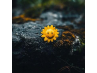 探索個性化幸福：心態與知識的力量影響人生幸福
