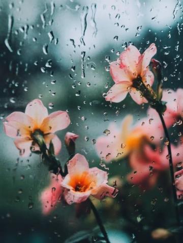 春雨滋潤萬物，彰顯生命的意義