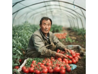 宜賓永興：將工業與農業的和諧相結合，譜寫食材新篇章