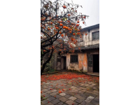 潼南桃樹下的網(wǎng)紅涼粉攤：藏在鄉(xiāng)下，游客到此必打卡