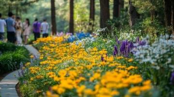 春游賞花｜解鎖佛山高明2日1夜親子游新玩法