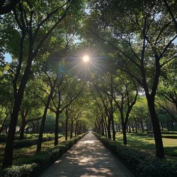 回憶家鄉的風光：廣州天河公園