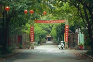 深圳爸媽退休生活：每月13500元養老金，暢游美食天堂車公廟