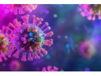 諾如病毒高發季如何預防？這些知識你需要知道
