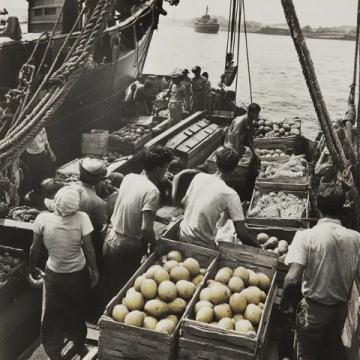 1950年前后，印尼當時發生了嚴重的排華事件，許多華僑回到祖國
