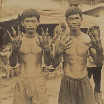 1950年前后，印尼當時發生了嚴重的排華事件，許多華僑回到祖國