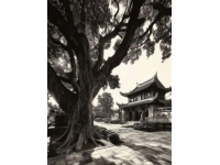 泉州行程總結(jié)：再游泉州,又回首福建之旅