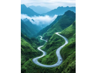 海外創業輝煌路：兩年內如何讓夢想照進現實——從阿聯酋的水果市場到勞斯萊斯座駕