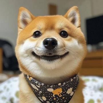 柴犬養(yǎng)護(hù)入門(mén)：品種特性及基礎(chǔ)常識(shí)詳解