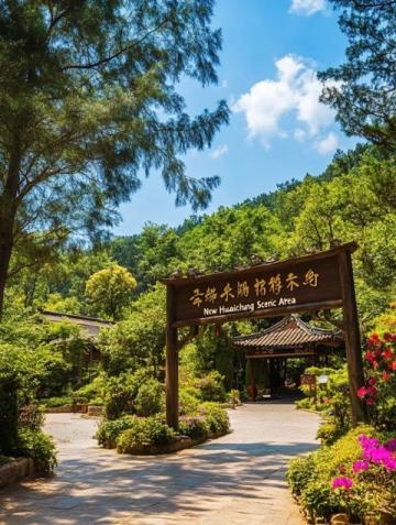 舌尖上的潮汕：千年古韻的味蕾之旅