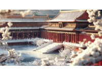 春回蘇州，街頭巷尾花香四溢