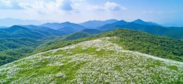 探索谷城自然奇景——老軍山的歷史、文化與四季風(fēng)光之旅