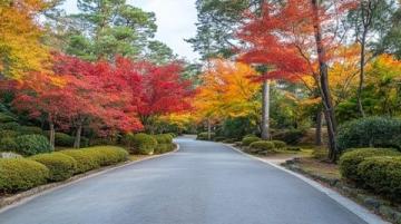 秋日漫步：美食相伴的公園游記，美景定格在鏡頭中