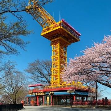 青島三天兩晚原創游玩攻略，結合青島經典景點、特色美食和文化體驗，合理規劃行程