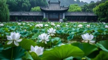蘇州兩天一夜行程: 蘇州古典園林、昆亭、獅子林等名景盡收眼底