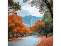 綿陽九皇山，自然與人文完美結(jié)合的好去處