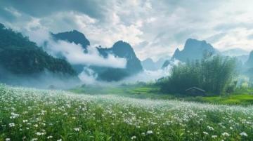 江西三月賞花踏青好去處，不容錯過的旅行地！