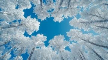 在白雪皚皚的世界中，感受唯一的絢麗美景