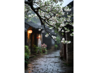 南潯古鎮(zhèn)攻略：探尋江南水鄉(xiāng)的詩(shī)畫(huà)桃源