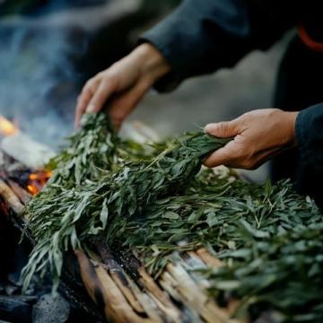五月炎夏必備：酸辣裙帶苗拌蕨根粉，開(kāi)胃又健康！