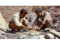 60年代地質(zhì)工作者在大興安嶺遇到鄂溫克族人家的溫暖故事