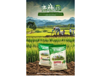 貴州望謨五色花糯米飯：自然彩虹與傳統香韻
