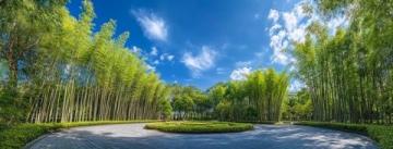 日照竹洞天風(fēng)景區(qū)深度游:探秘竹文化與民族風(fēng)情之旅攻略