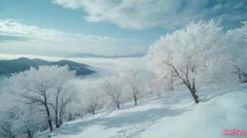 寒假西藏旅行攻略：冬日雪域高原探秘